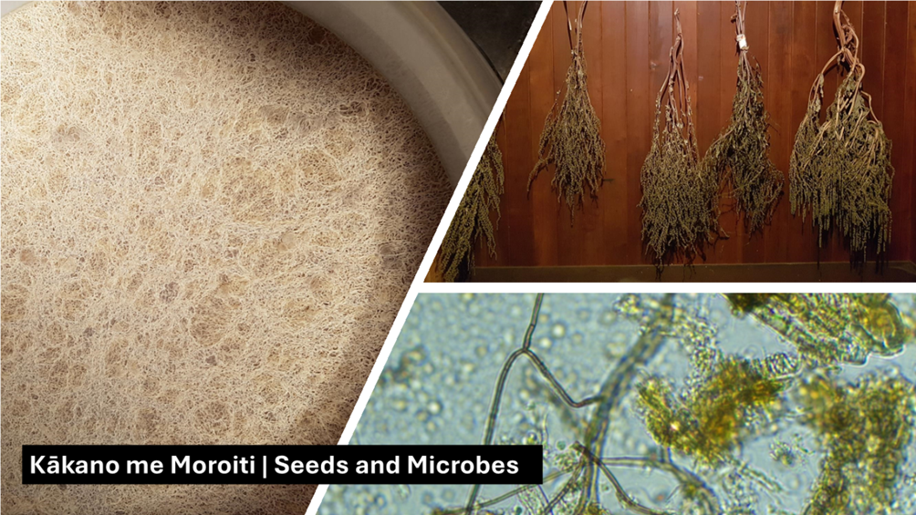 A collage of plants and microbes

Description automatically generated