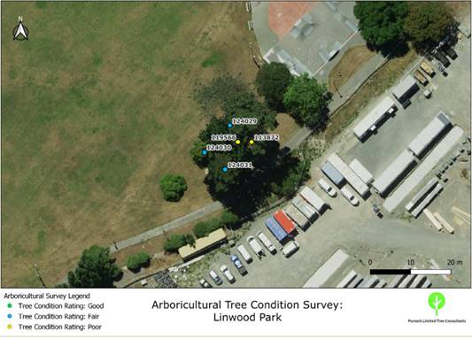 Aerial view of a tree condition survey

Description automatically generated
