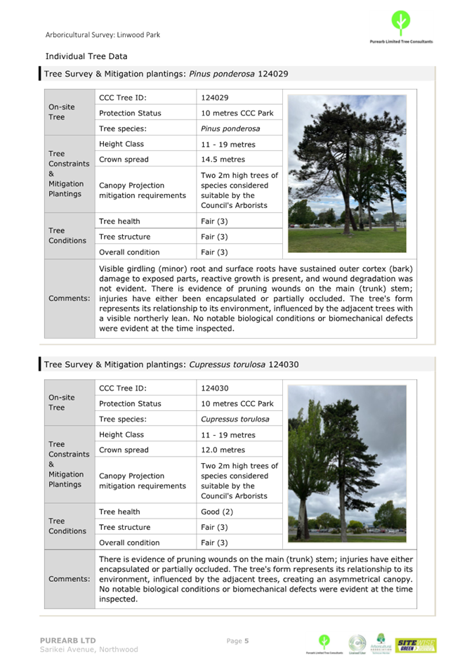 A screenshot of a document

Description automatically generated