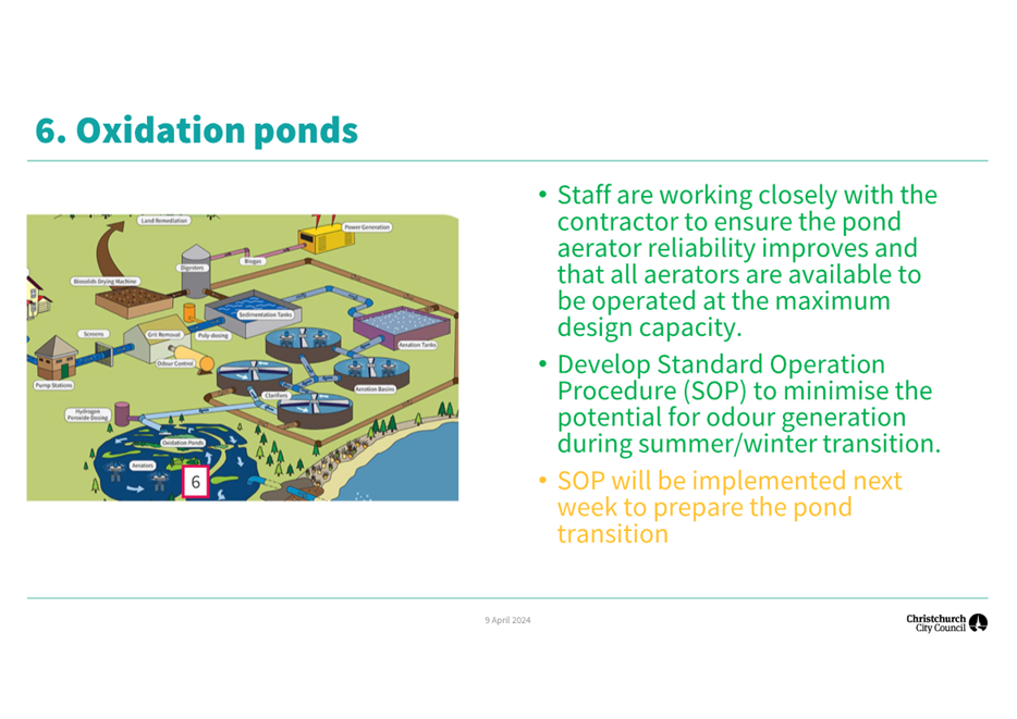 A diagram of a pond

Description automatically generated