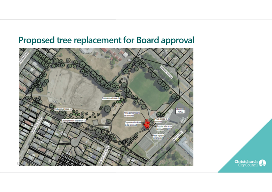 A map of a proposed tree replacement

Description automatically generated