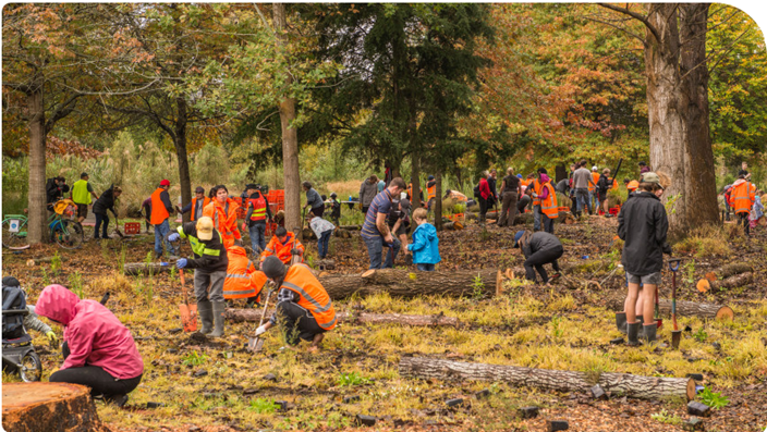 A group of people in orange vests working in a forest

Description automatically generated