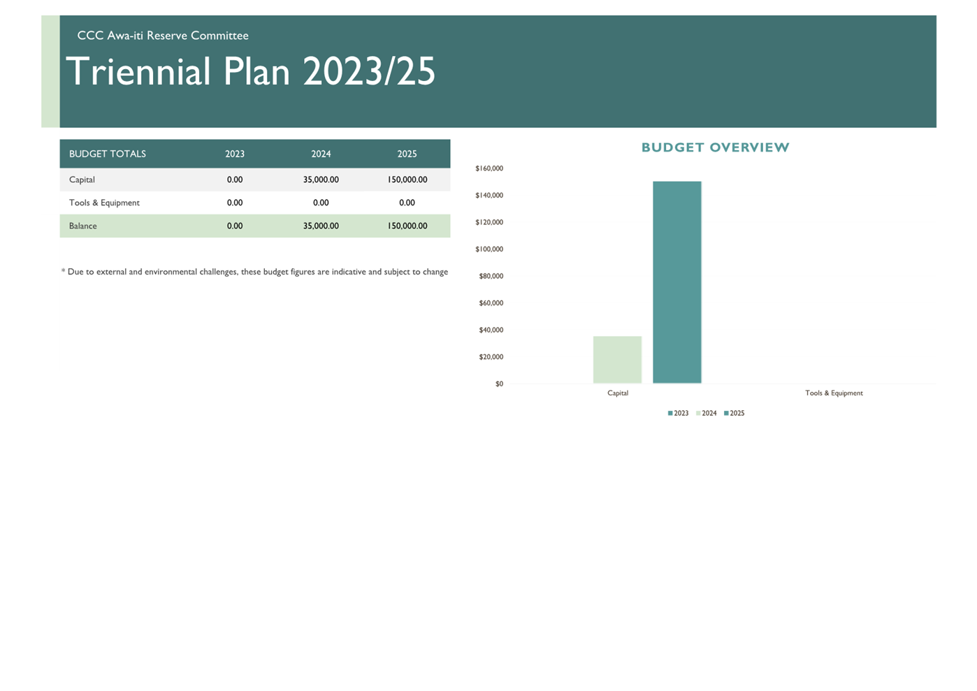 A screenshot of a financial plan

Description automatically generated