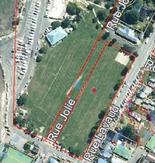 Aerial view of a green field

Description automatically generated