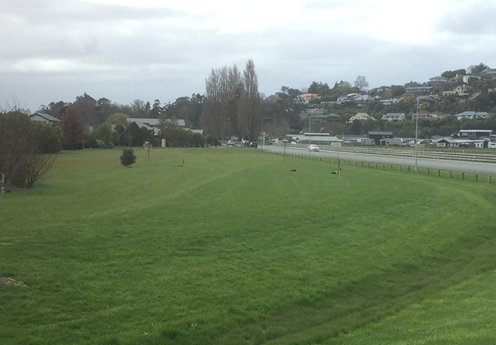 A large grassy field with buildings in the background

Description automatically generated