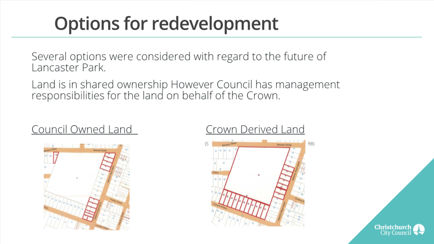 A close-up of a plan

Description automatically generated