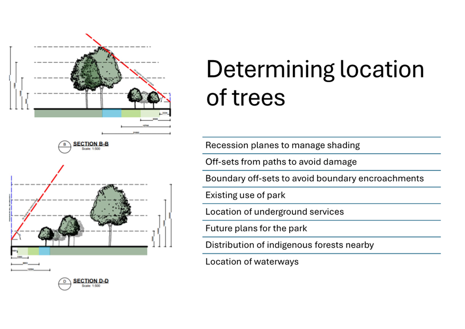 A diagram of trees and a diagram of a park

Description automatically generated