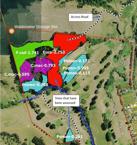 A map of a forest

Description automatically generated