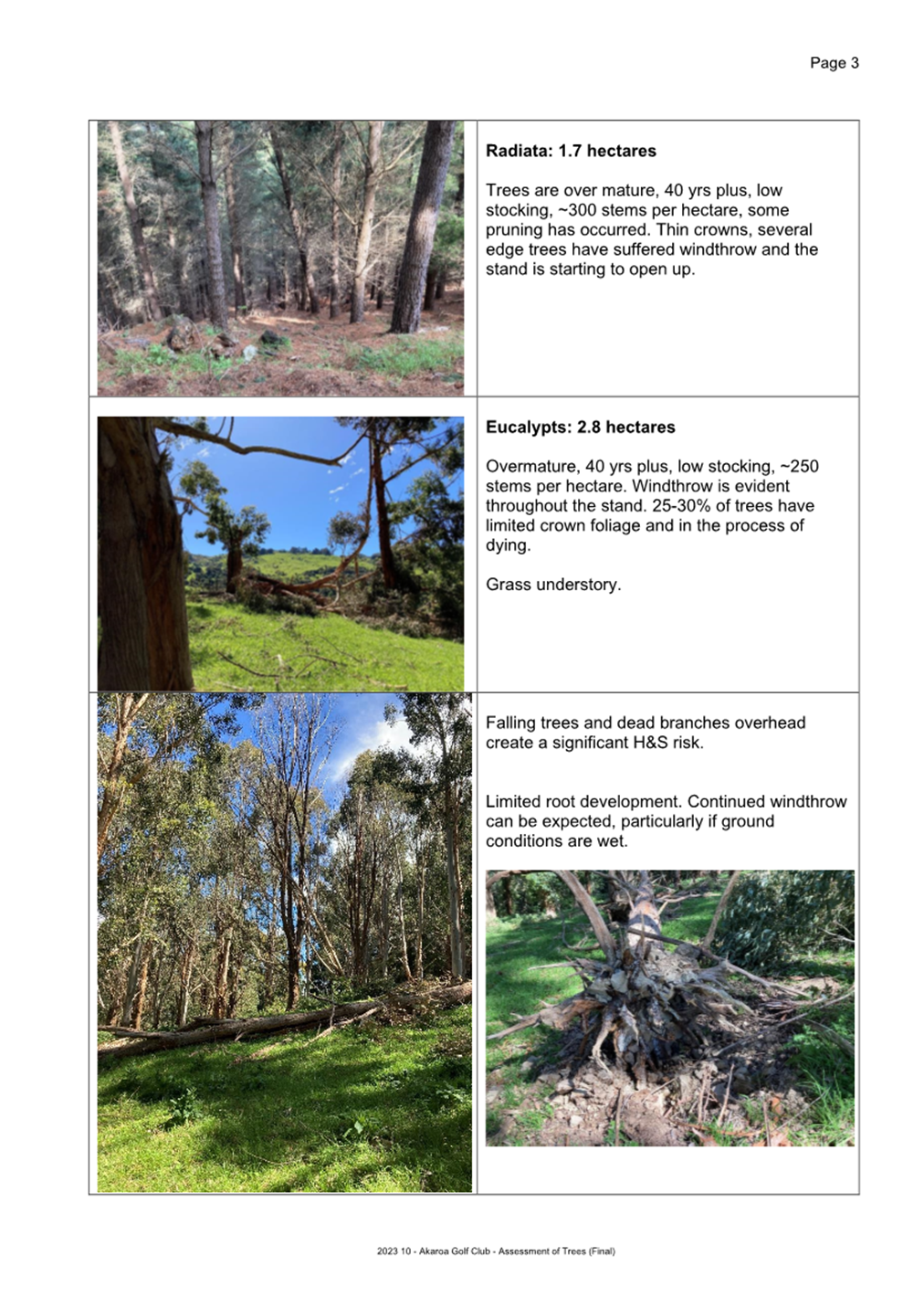 A collage of trees and grass

Description automatically generated
