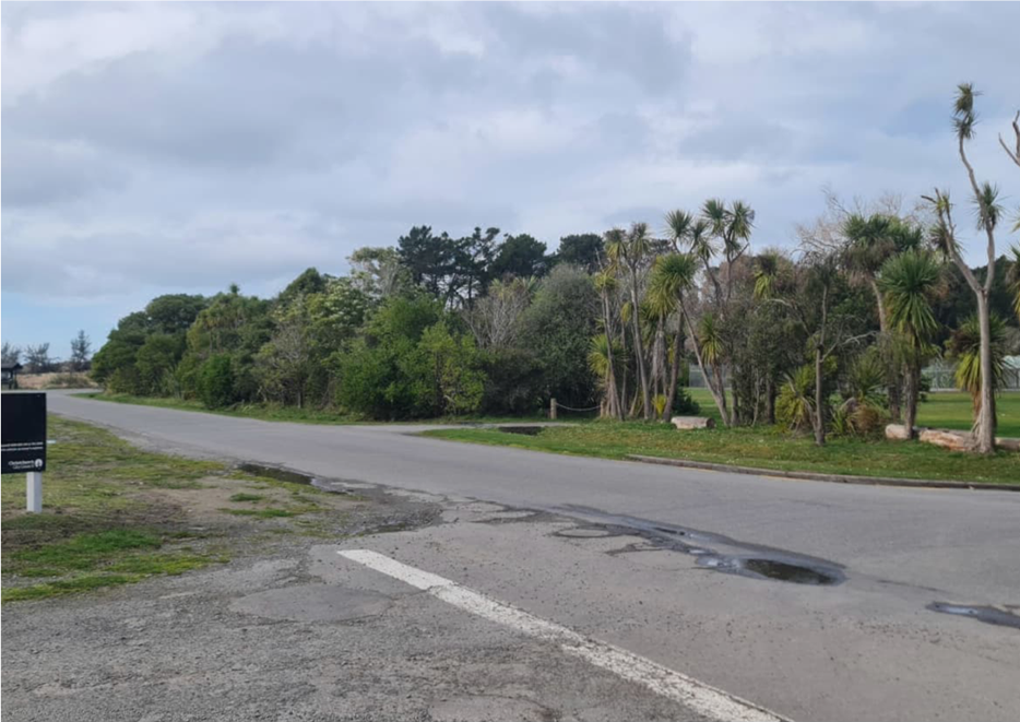 A road with trees and grass

Description automatically generated