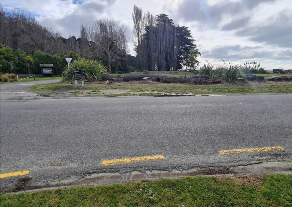 A road with trees and grass

Description automatically generated