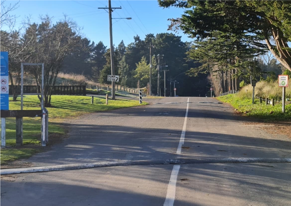 A road with trees and grass

Description automatically generated