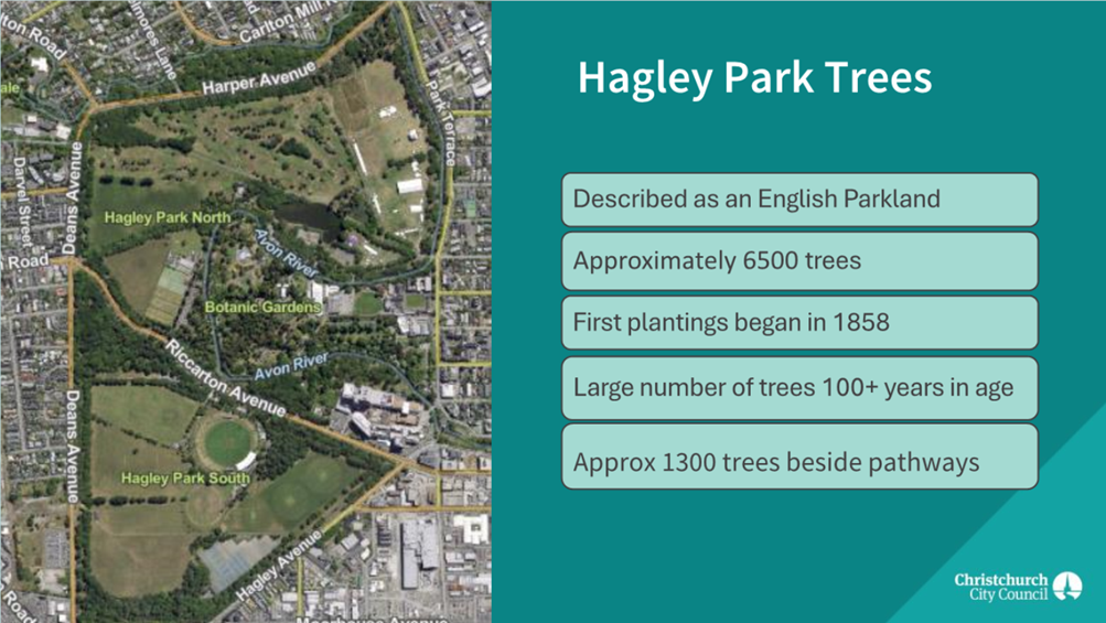 A map of a park

Description automatically generated