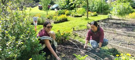 Two people, one holding a child, gardening on a garden bed