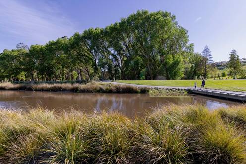 A Te Kuru Wetlands pond area with grass and trees and an adult and child walking along a track

