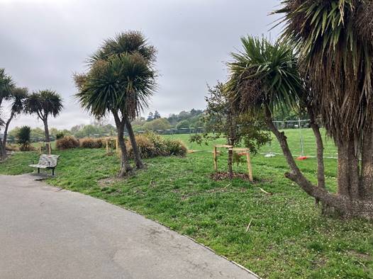 A path with trees and grass

Description automatically generated