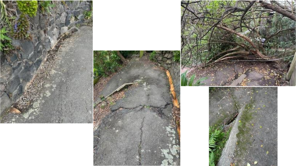 A collage of a road

Description automatically generated