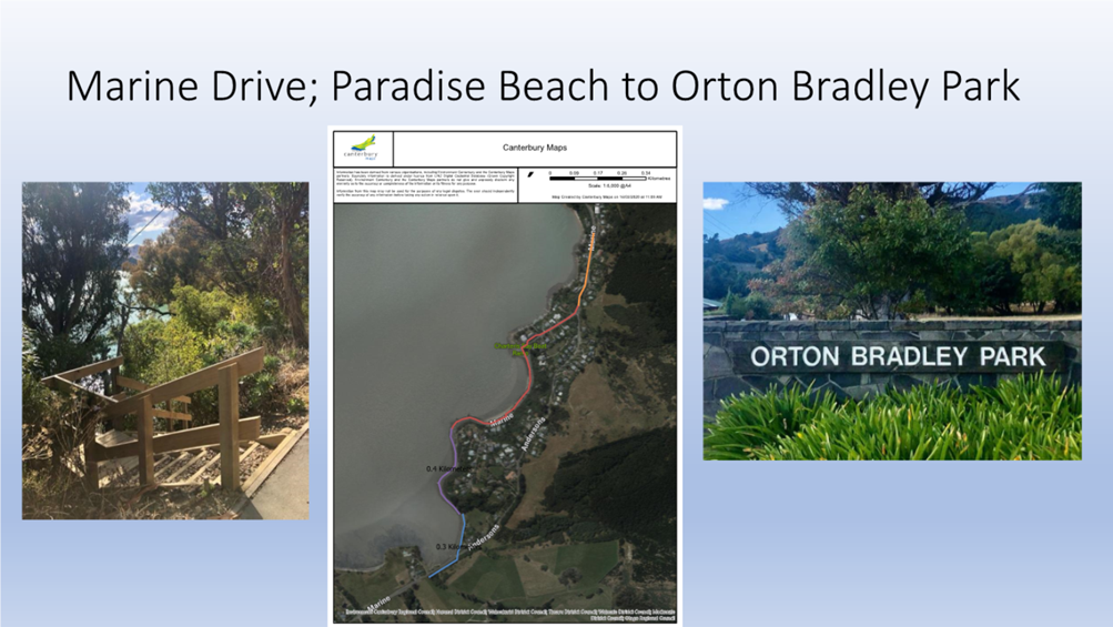 A collage of images of a beach

Description automatically generated