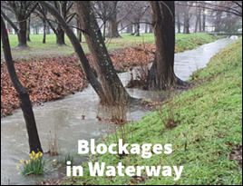 A stream with trees in it

Description automatically generated