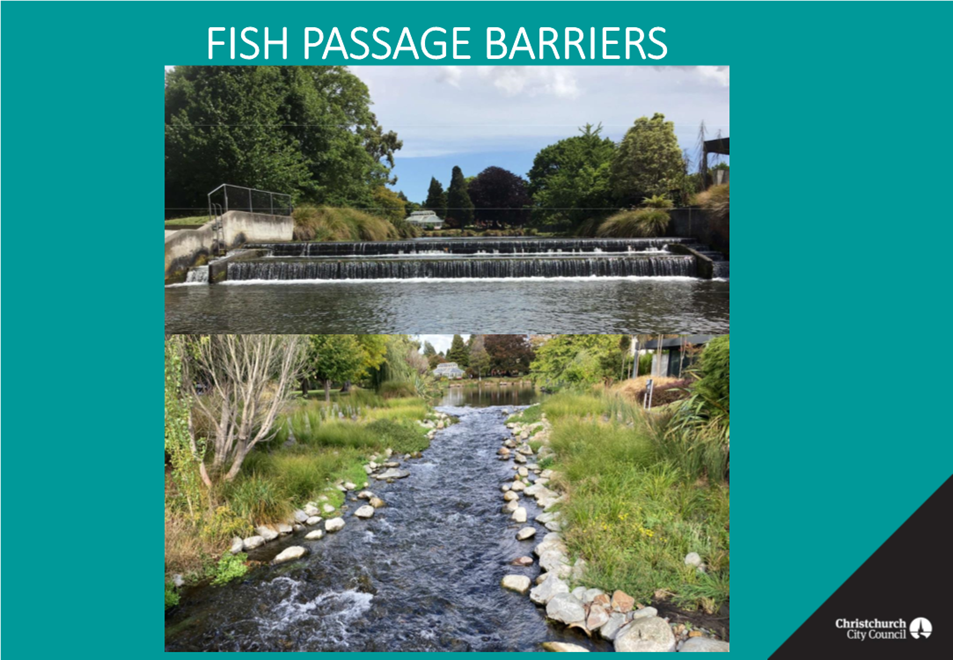 A fish passage barriers and a fish pond

Description automatically generated