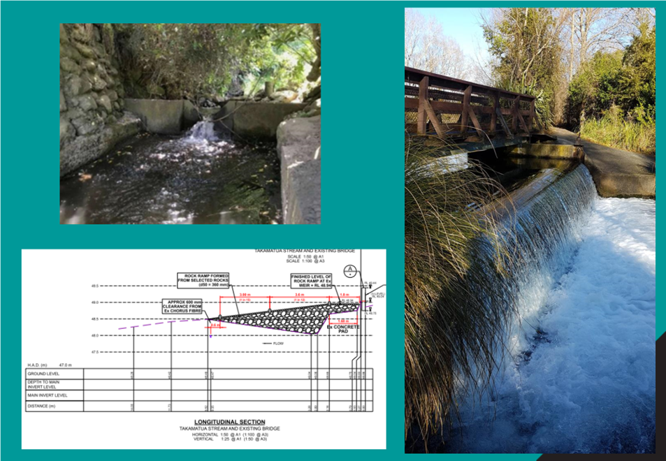 A collage of a river

Description automatically generated