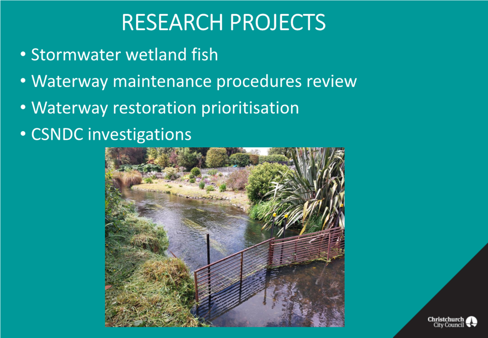 A close-up of a river

Description automatically generated