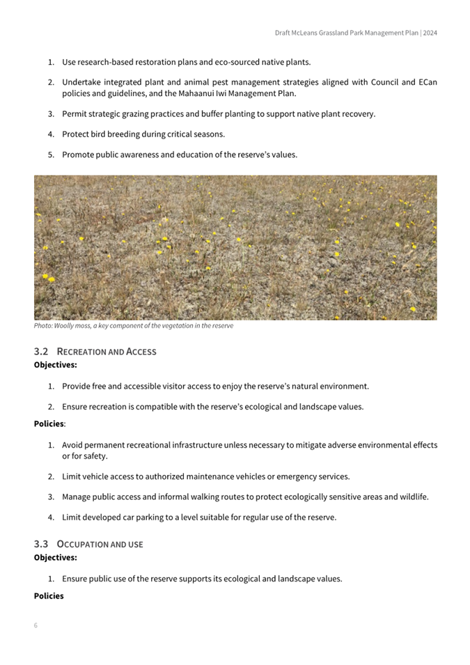 A close-up of a field

Description automatically generated