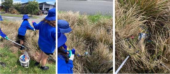 Three photos of children in school uniform picking up rubbish from an area of tussock at the side of the road