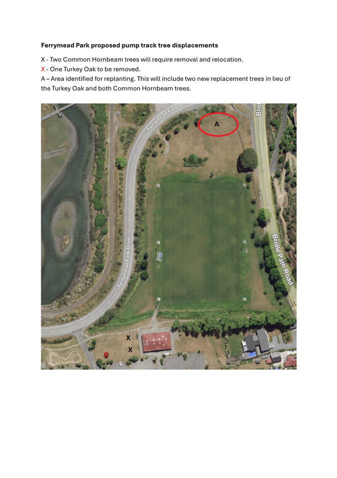 An aerial view of a field

Description automatically generated