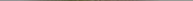 A close up of a medal

Description automatically generated