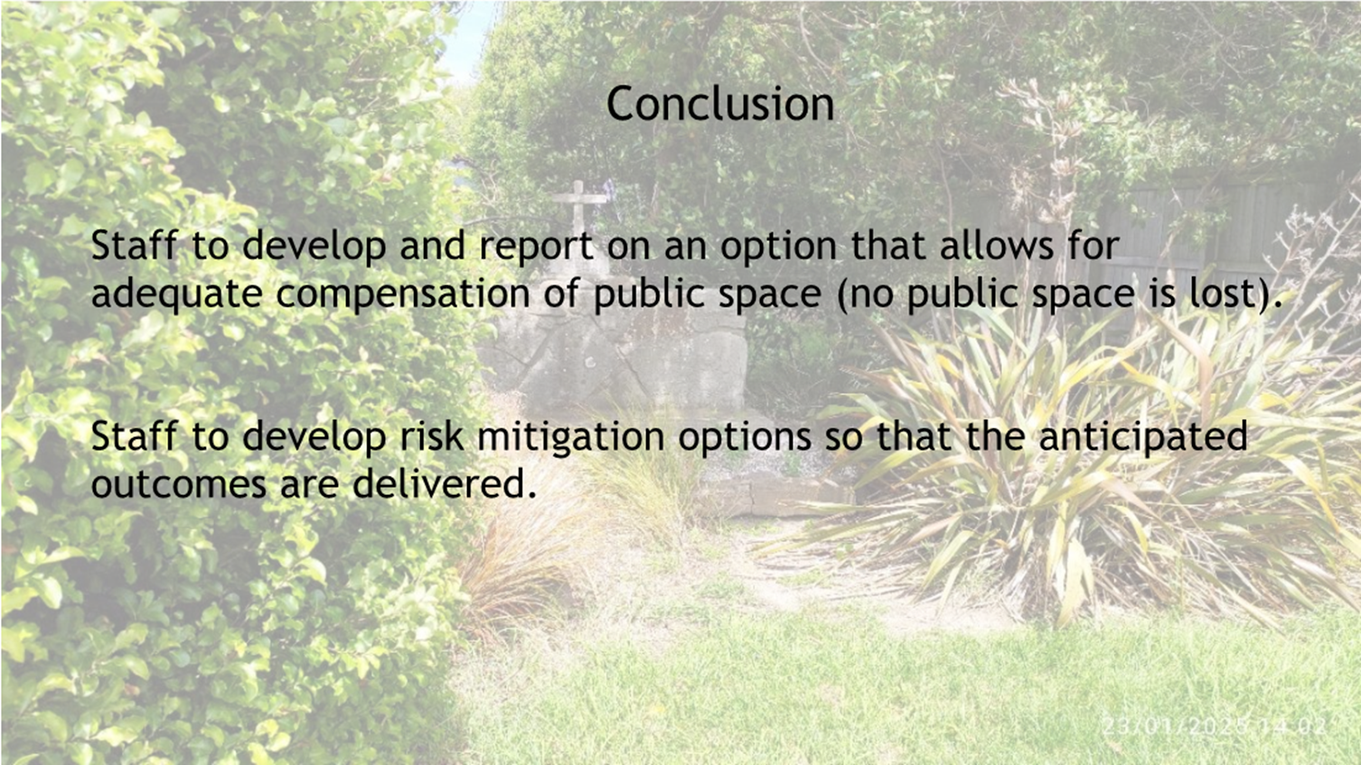 A close-up of a garden

Description automatically generated