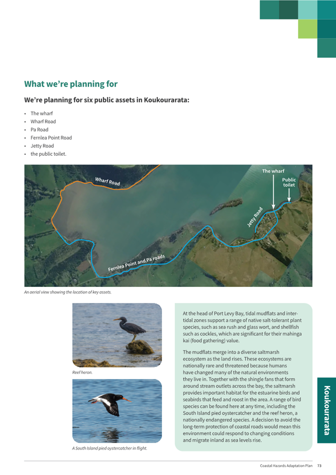 A map of a bird on a rock

AI-generated content may be incorrect.