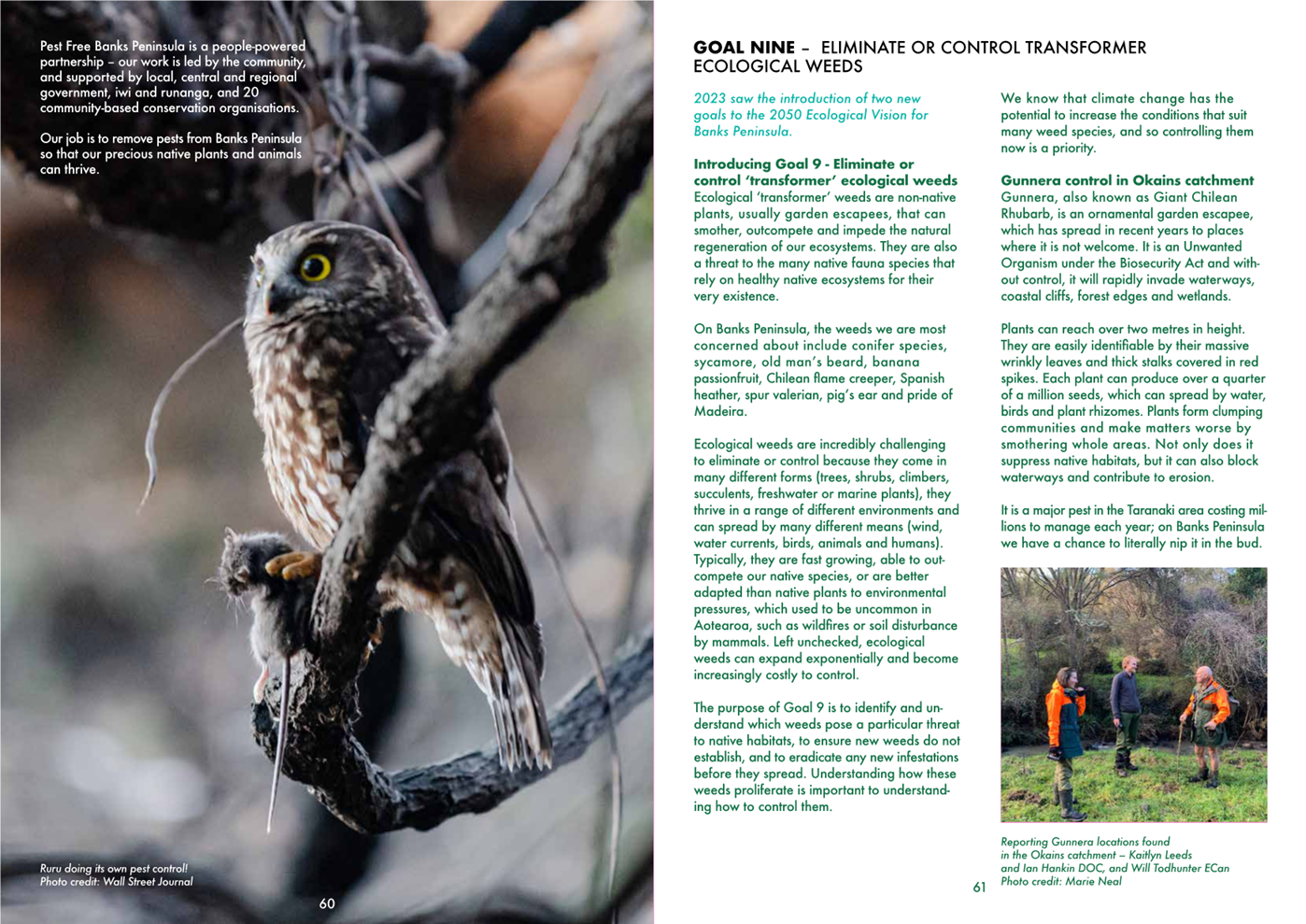 A close up of an owl

AI-generated content may be incorrect.