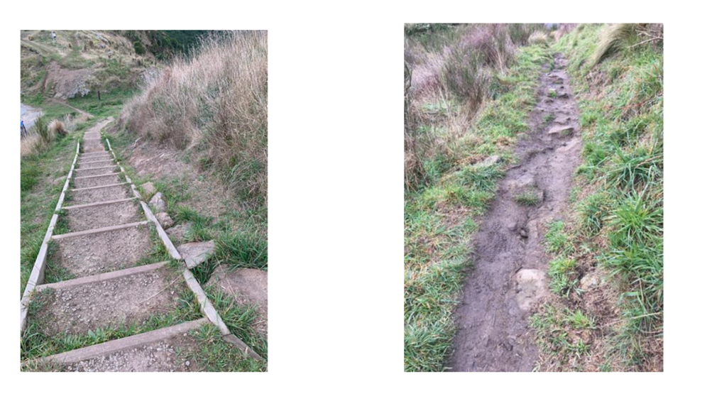 A dirt path with a path in the middle of the grass

AI-generated content may be incorrect.