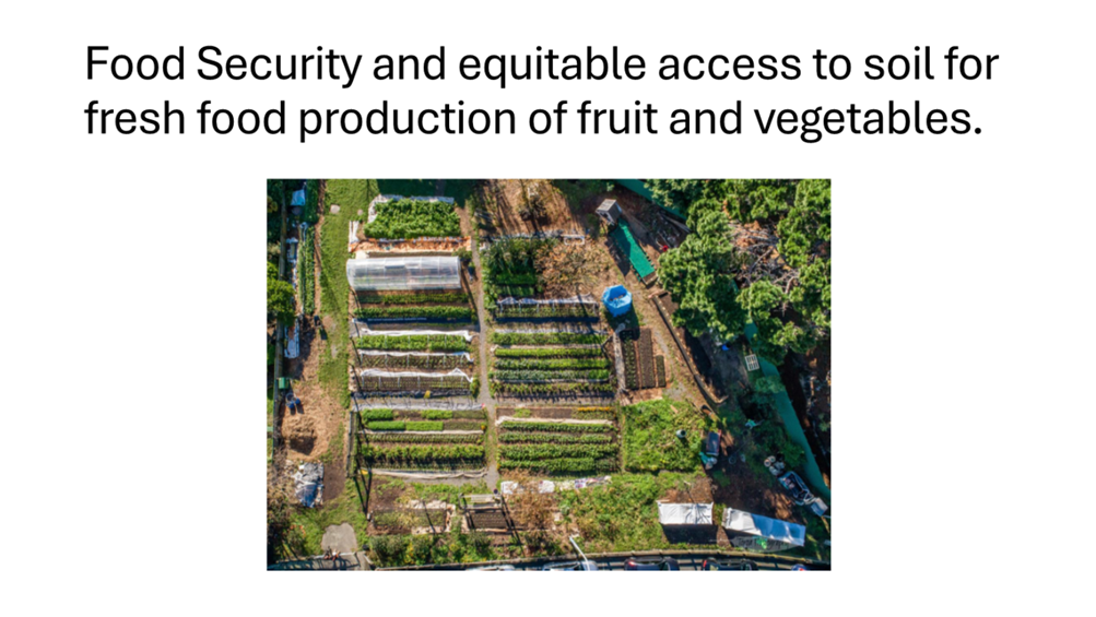 An aerial view of a garden

AI-generated content may be incorrect.