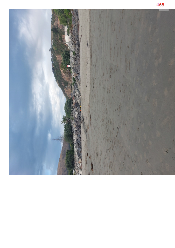 A beach with a rocky hill and trees

AI-generated content may be incorrect.