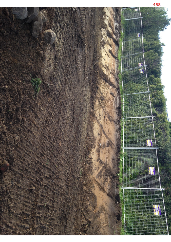 A fenced in dirt with trees in the background

AI-generated content may be incorrect.