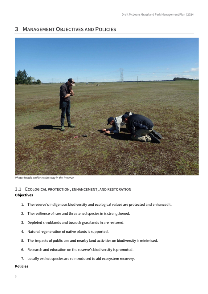 A group of people in a field

AI-generated content may be incorrect.