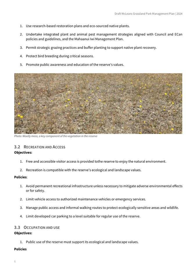 A close-up of a field

AI-generated content may be incorrect.
