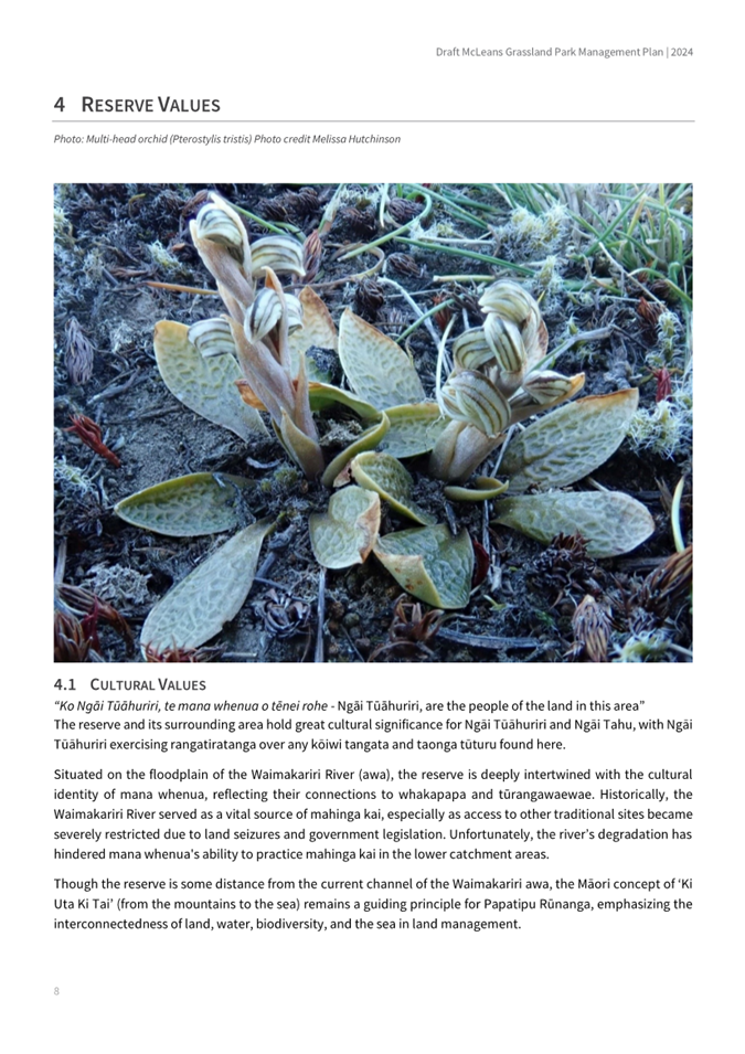 Close-up of a plant with text

AI-generated content may be incorrect.