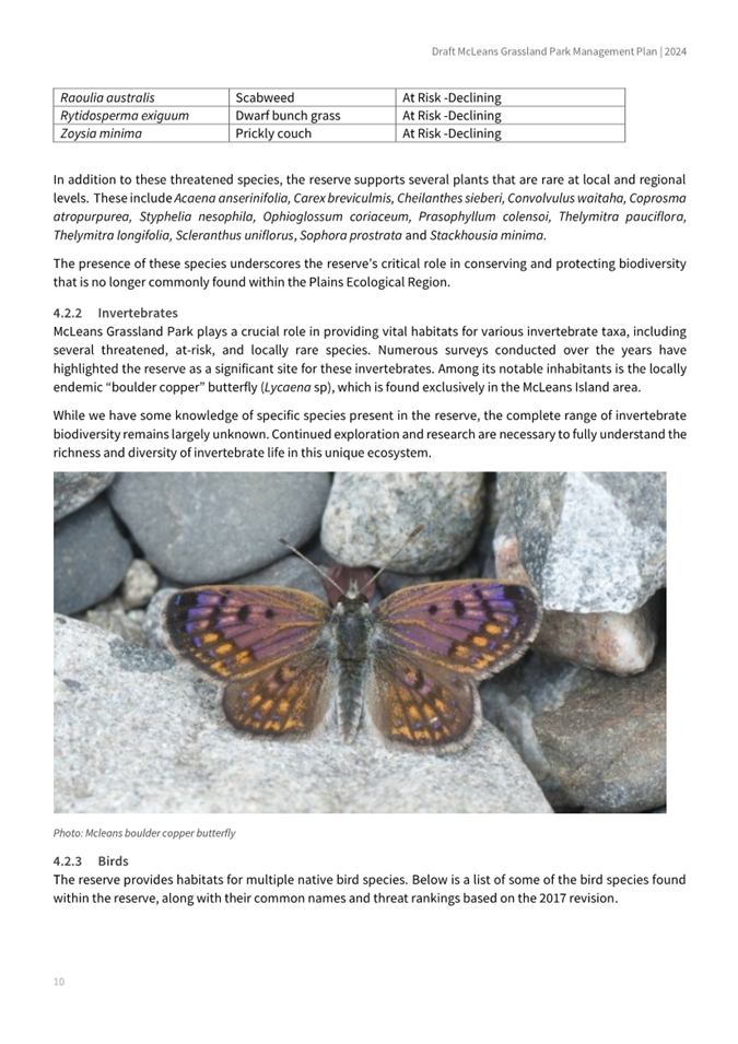 A close-up of a butterfly

AI-generated content may be incorrect.