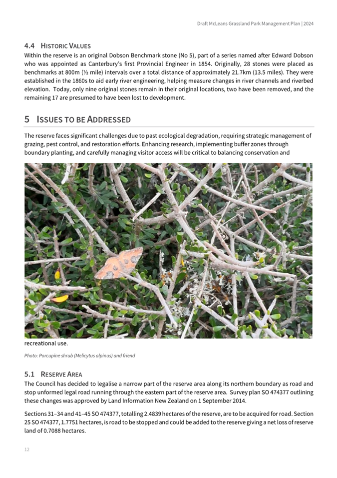 A close-up of a butterfly on a branch

AI-generated content may be incorrect.