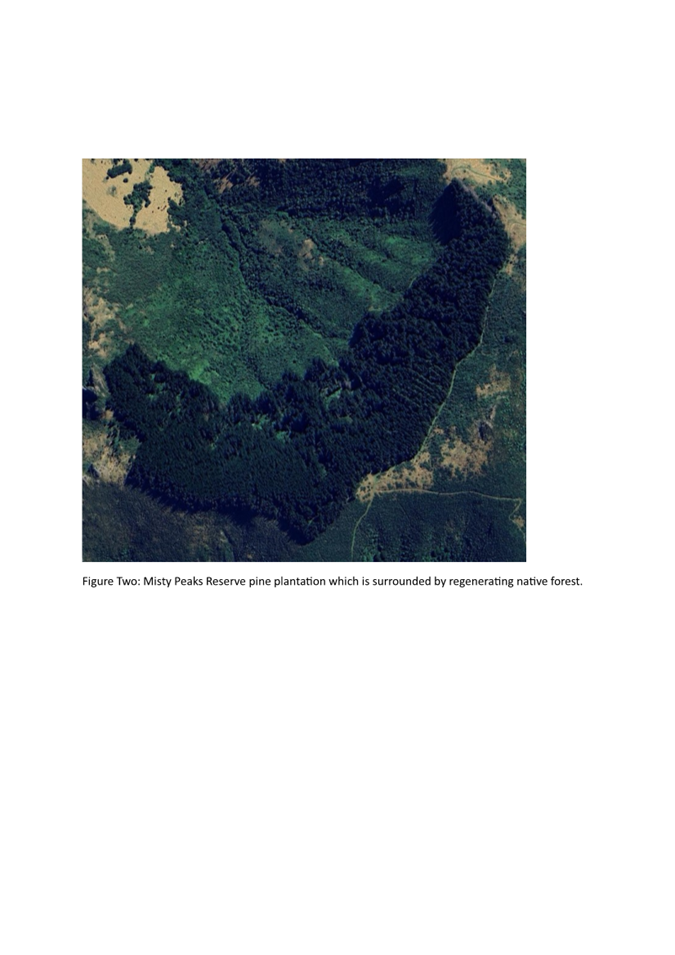 A satellite image of a forest

AI-generated content may be incorrect.