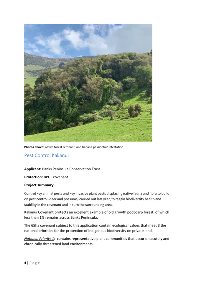 A screenshot of a page

AI-generated content may be incorrect.