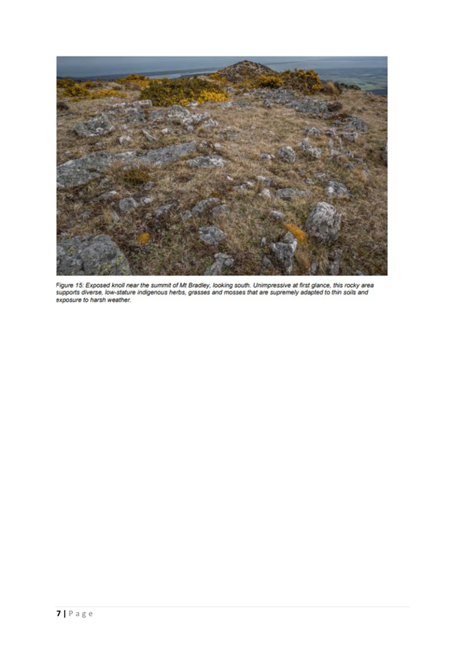 A close-up of a rocky area

AI-generated content may be incorrect.