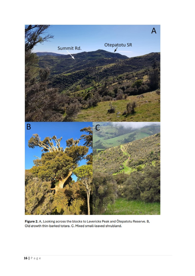 A collage of a landscape

AI-generated content may be incorrect.
