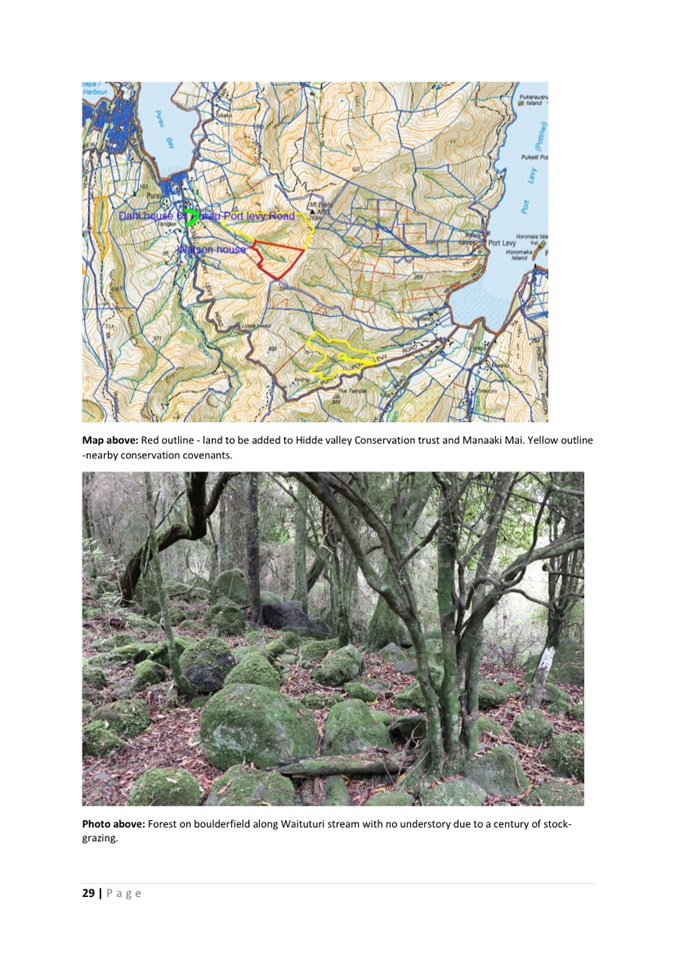 A map and a map of a forest

AI-generated content may be incorrect.
