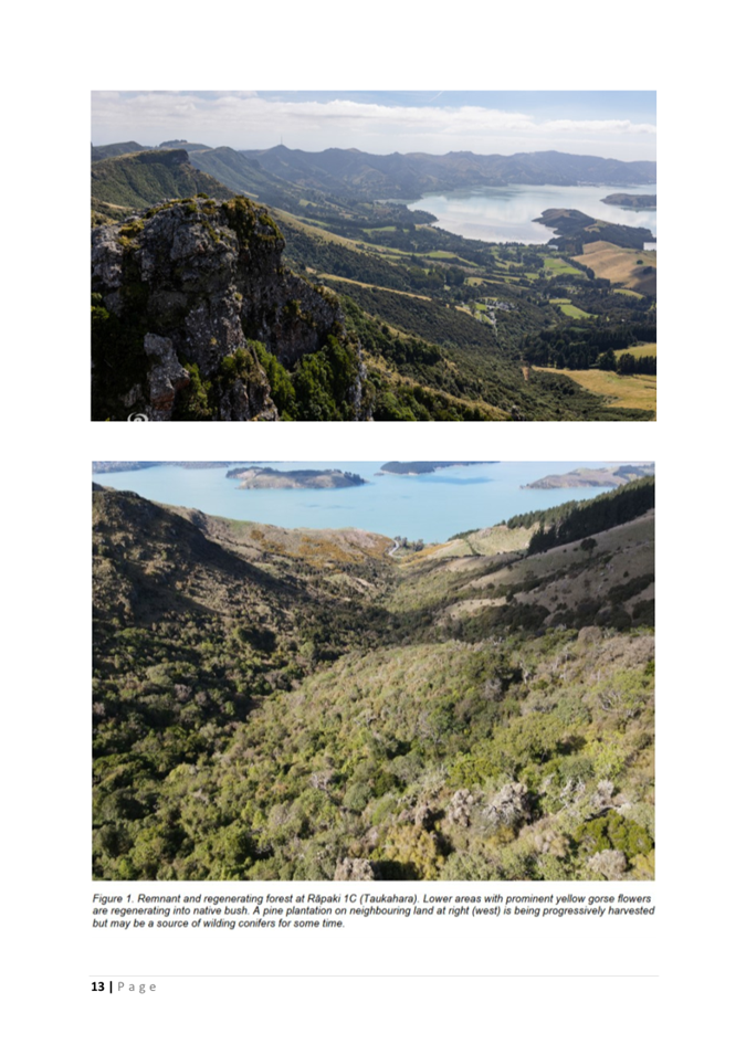 A collage of a mountain landscape

AI-generated content may be incorrect.