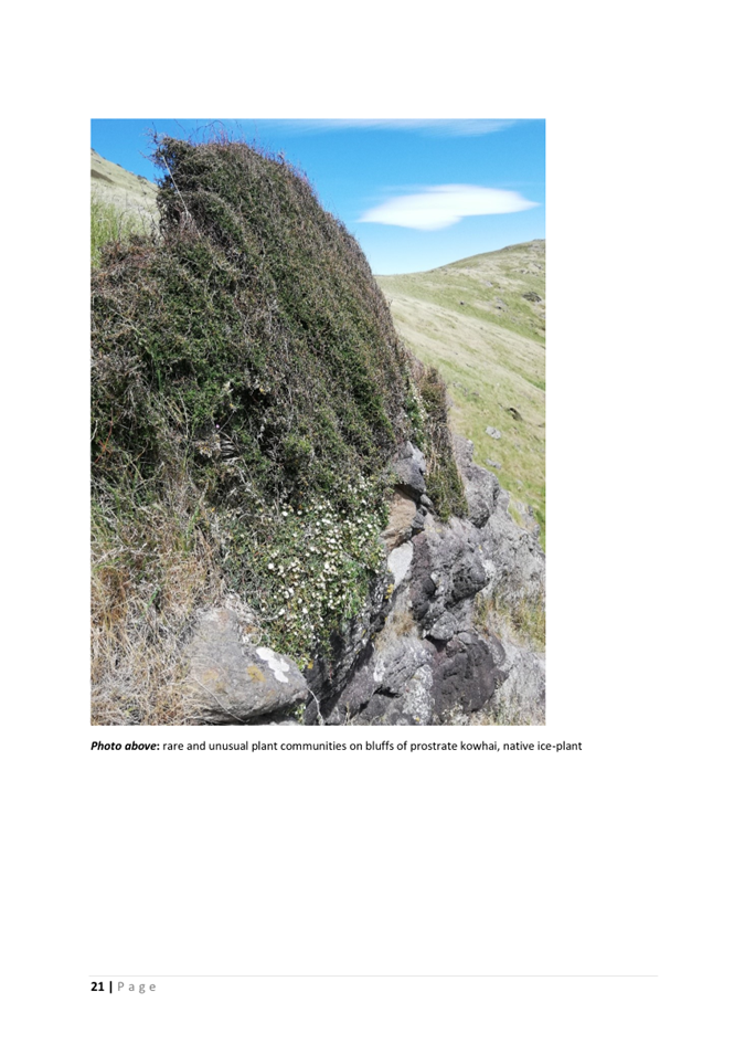 A close-up of a rock wall

AI-generated content may be incorrect.