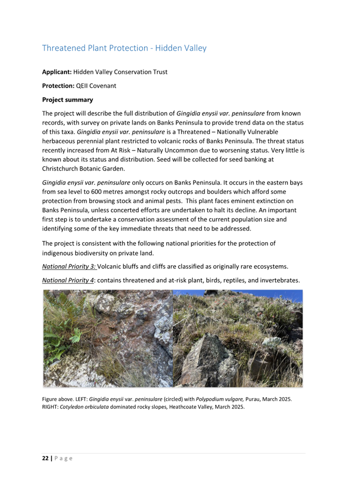 A close-up of a document

AI-generated content may be incorrect.